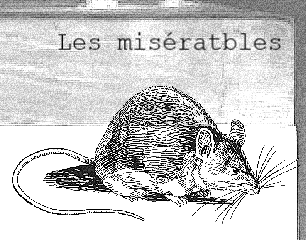 Les misératbles par Maëlle Chatel