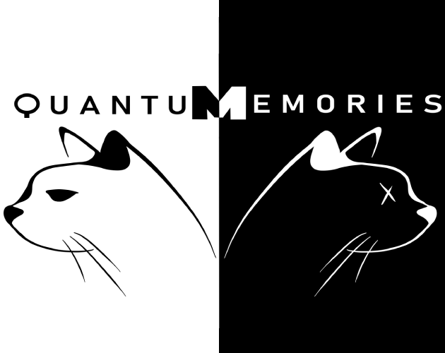 Cover image for Quantum Memories