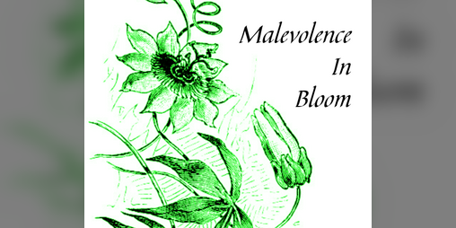 Cover image for Malevolence in Bloom
