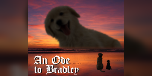 Cover image for An Ode to Bradley