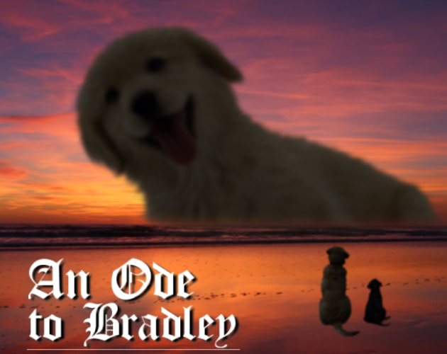 Cover image for An Ode to Bradley