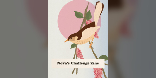 Cover image for Nova's Challenge Zine