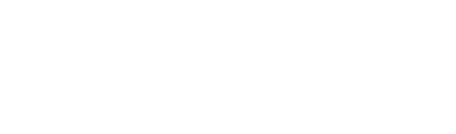 The Mage - Steam Edition