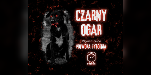 Cover image for Czarny Ogar