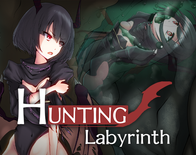Cover image for Hunting Labyrinth