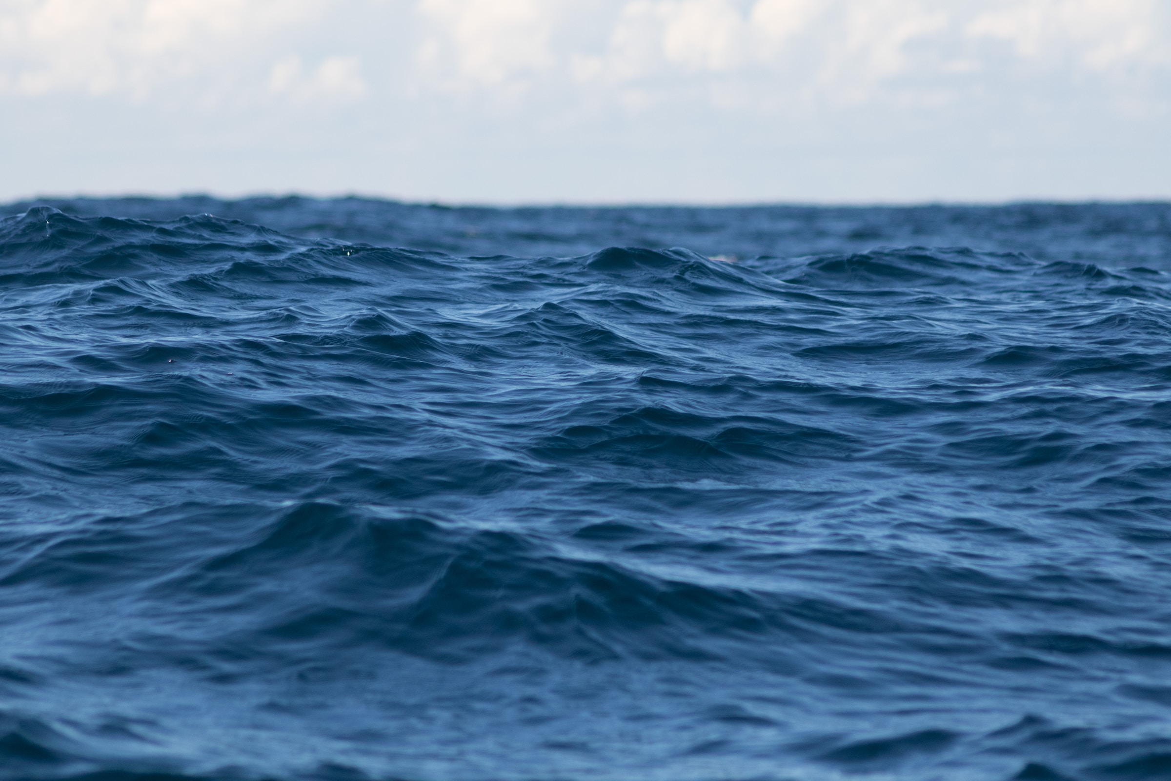 Cover image for Lost At Sea