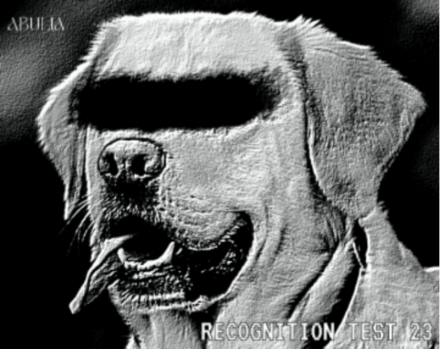Recognition Test 23