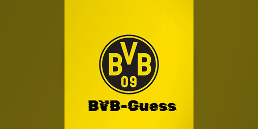 Cover image for BVB-Guess