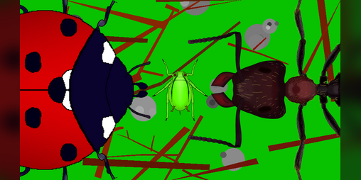 Cover image for Kokcinelo