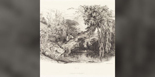 Cover image for VENISON