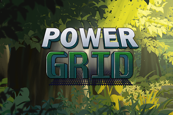 Cover image for Power Grid