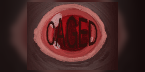 Cover image for Caged