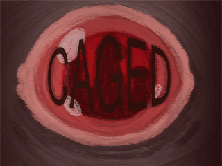 Cover image for Caged