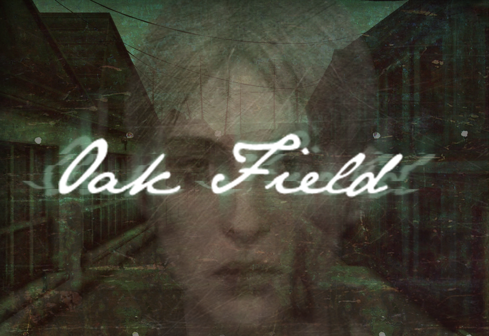 Cover image for Oak Field