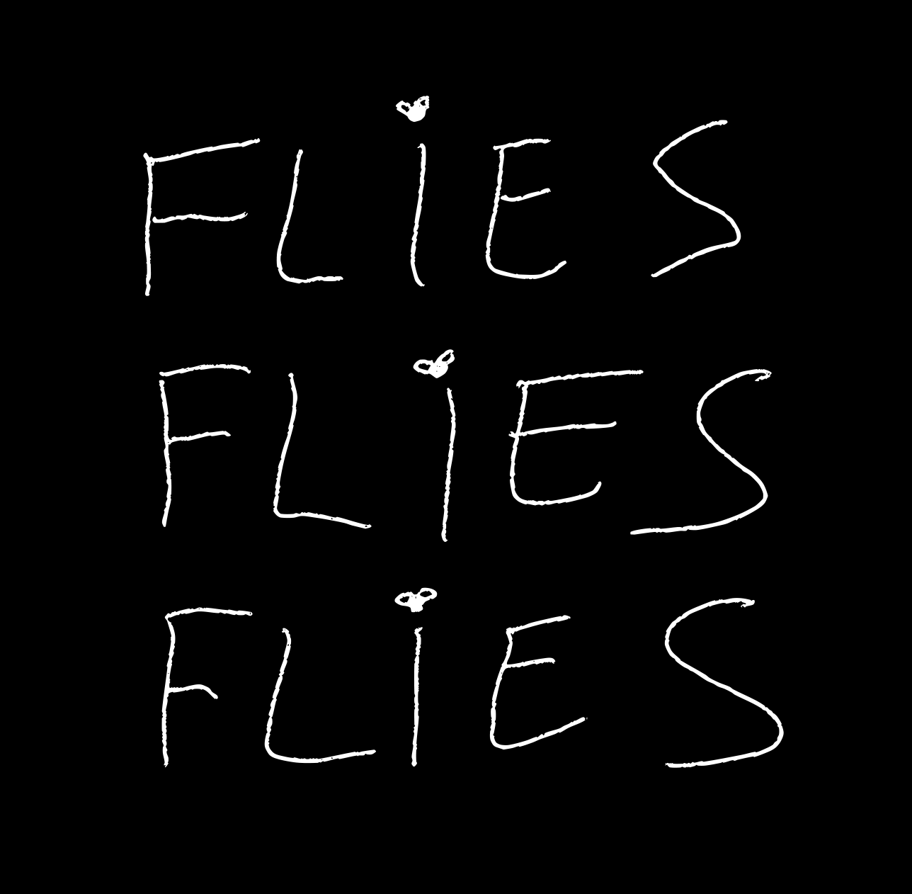 Cover image for FLIES FLIES FLIES