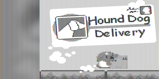 Cover image for Hound Dog Delivery