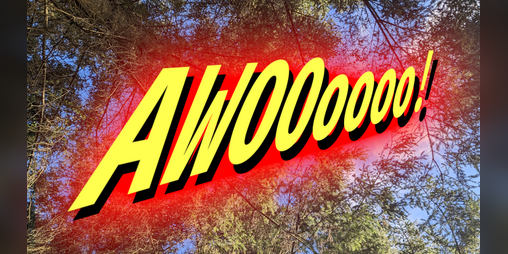 Cover image for AWOOoooo (LD53)