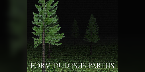 Cover image for FORMIDULOSUS partus
