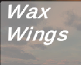 Cover image for Wax Wings