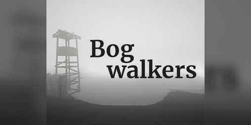 Cover image for Bogwalkers