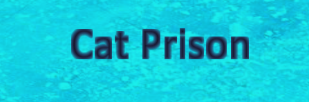Cat Prison (2023 Team 13)