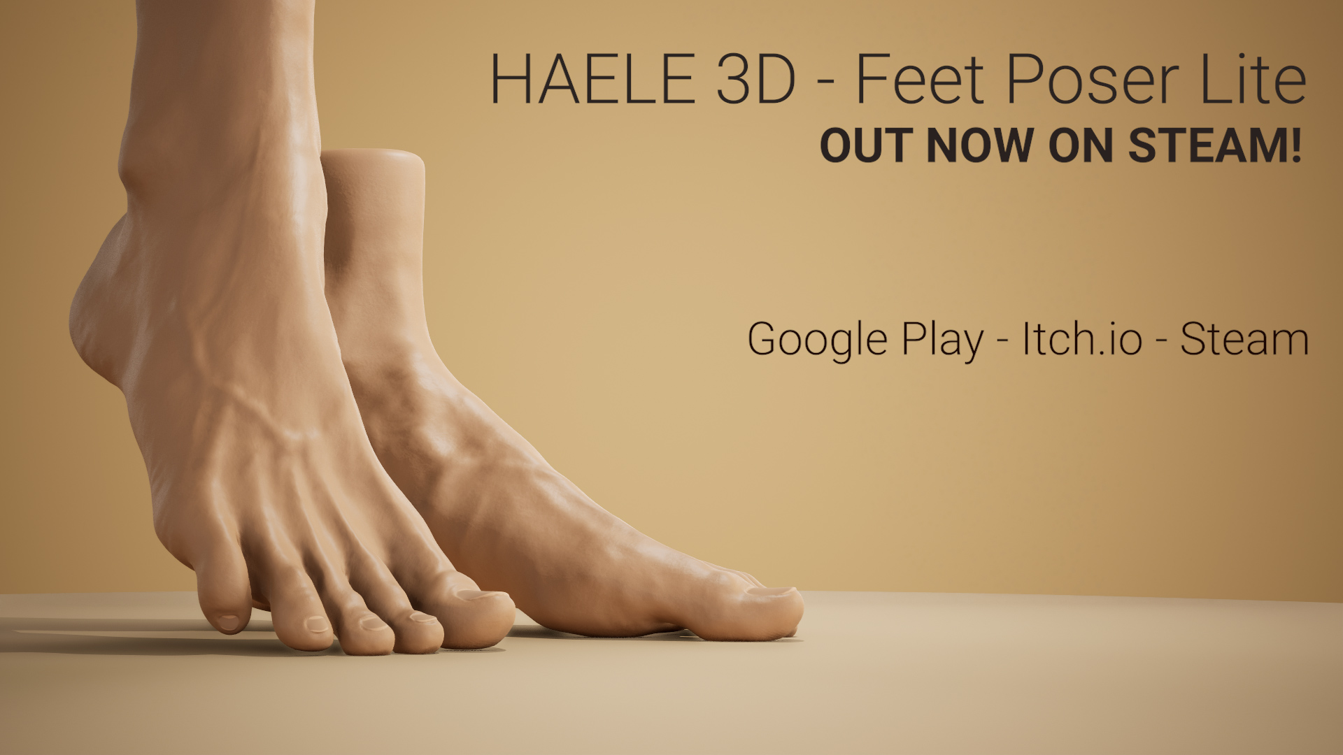 Haele 3d feet poser pro