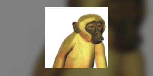 Cover image for science art