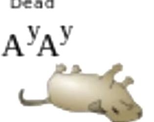 Coding 1