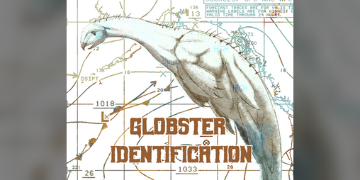 Cover image for GLOBSTER IDENTIFICATION