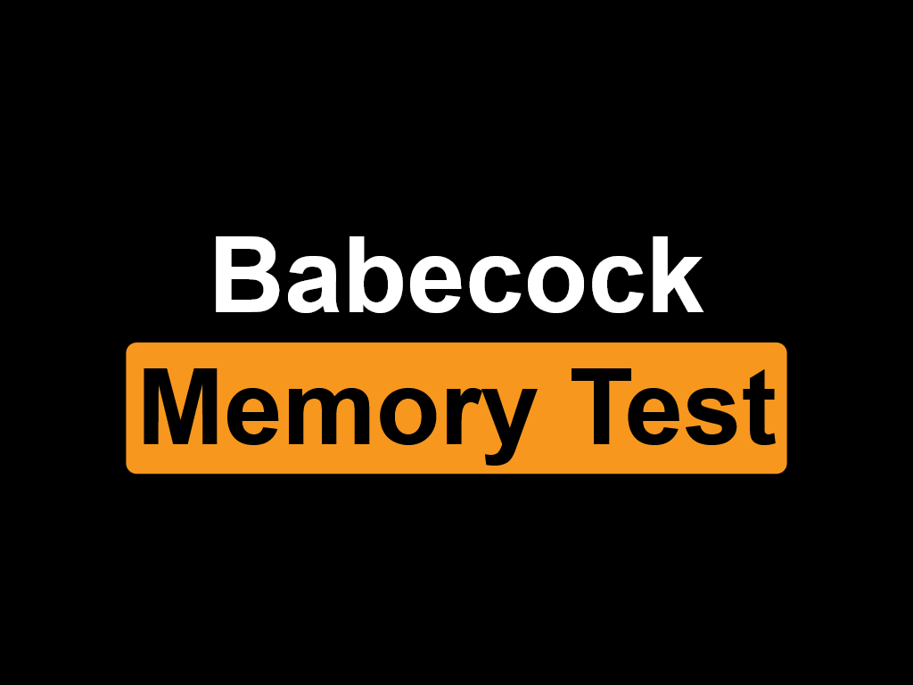 Babecock Memory Test By Sissybcmemory