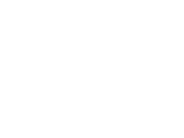 Broken Shores logo