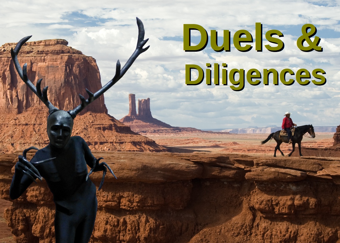 Cover image for Duels & Diligences
