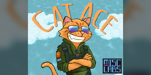 Cover image for Cat Ace
