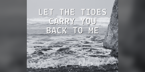 Cover image for Let the Tides Carry You Back to Me