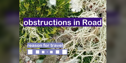 Cover image for obstructions in Road