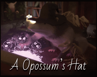 A Opossum's Hat  