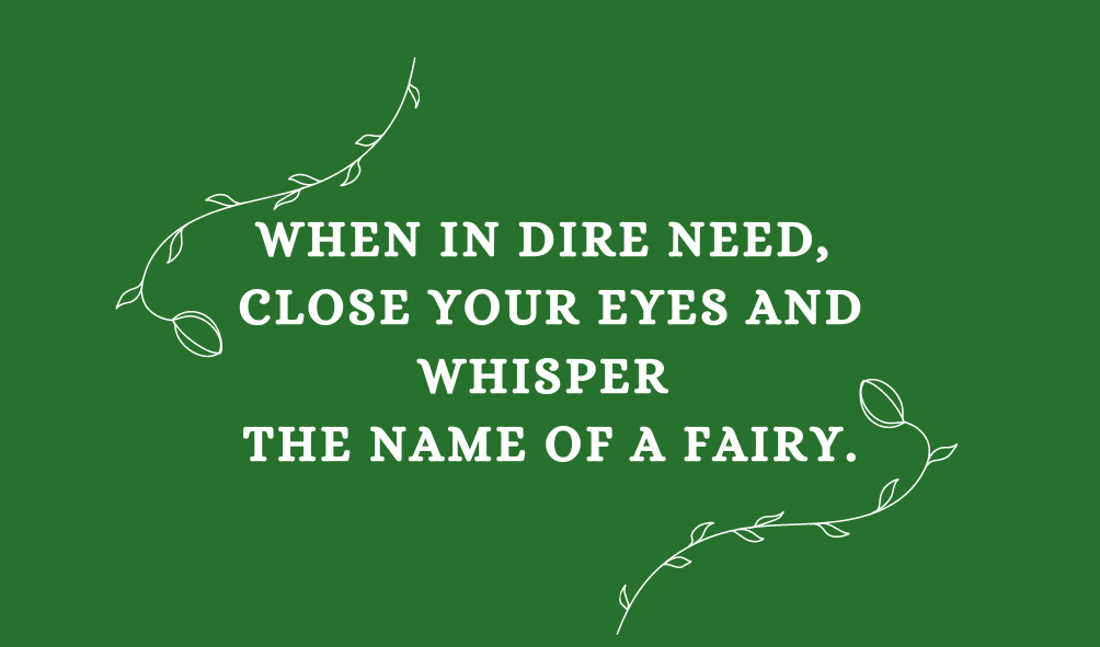 Cover image for Whisper the name of a fairy