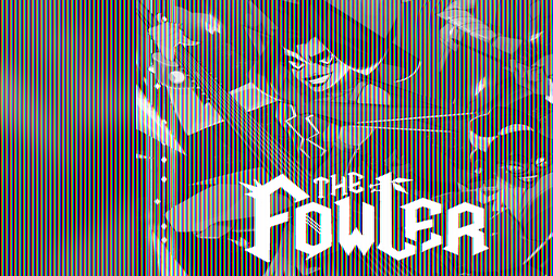 Cover image for The Fowler