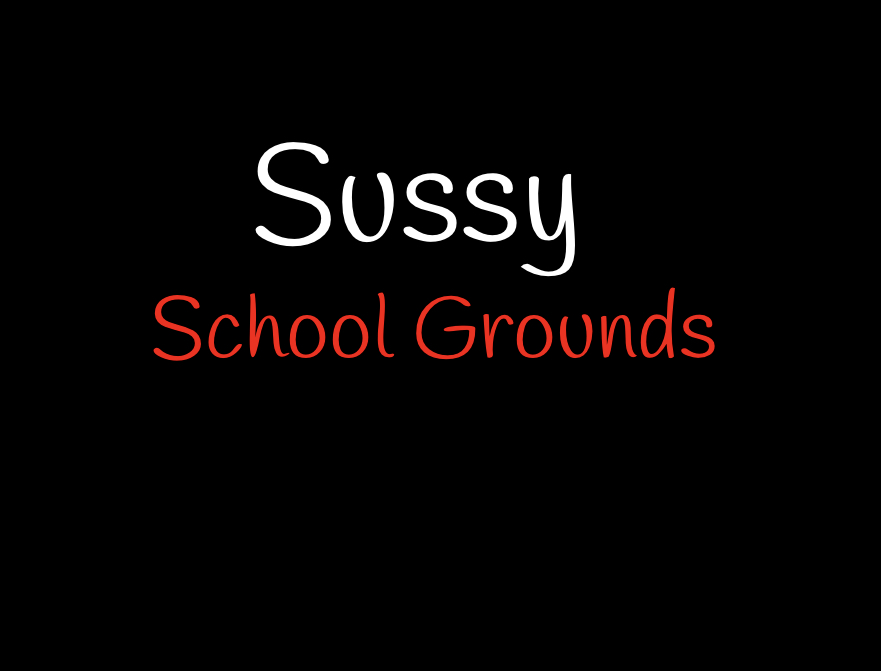 Sussy Schoolgrounds 2D cover