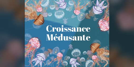 Cover image for Croissance Médusante