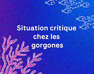 Situation critique chez les gorgones