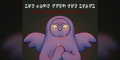 Cover image for She Came from the Stars