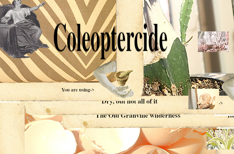 Cover image for Coleoptercide