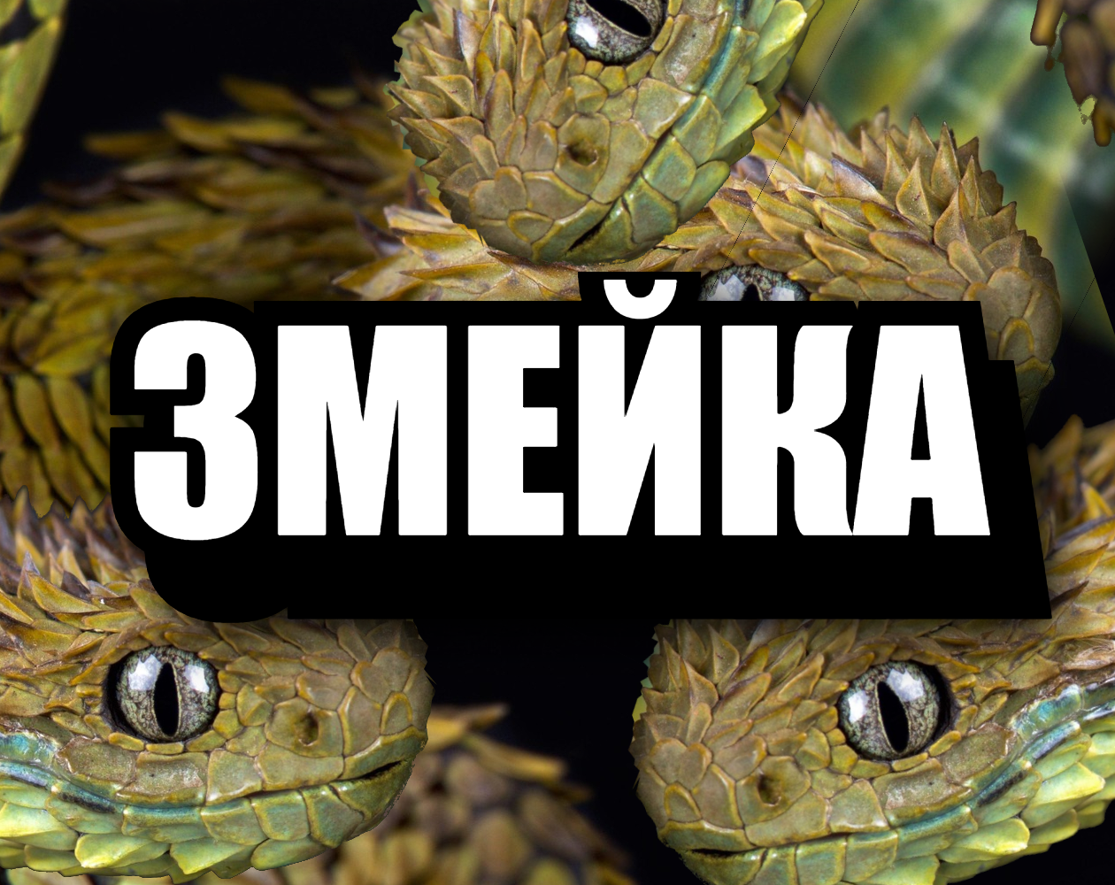 kusaka Snake