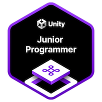 Junior Programmer Certificate