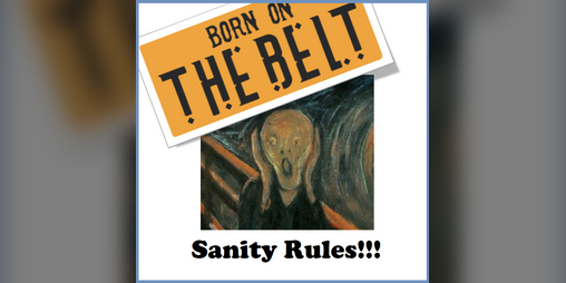 Cover image for (In)Sanity Rules for Dead Belt