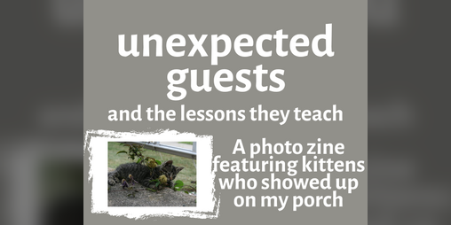 Cover image for unexpected guests