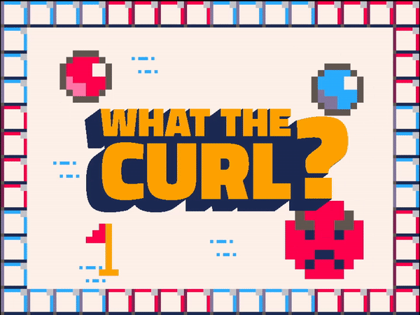 Cover image for WHAT THE CURL?