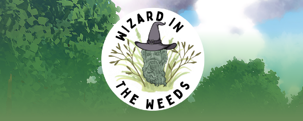 Wizard In The Weeds