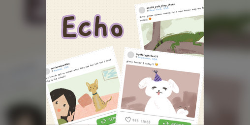 Cover image for Echo